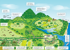 Wildlife corridor diagram